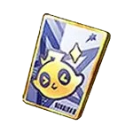 Support Pass