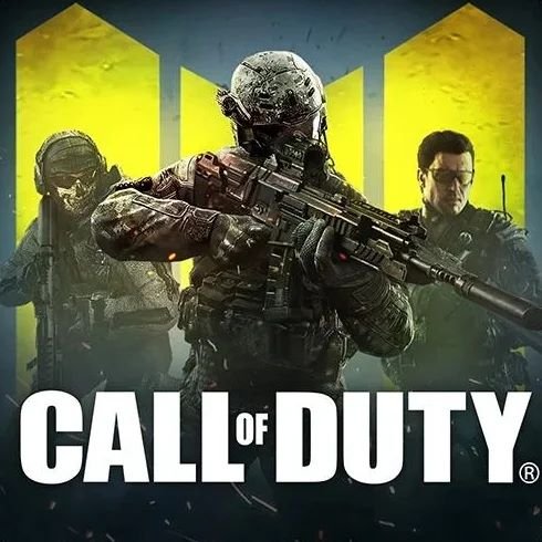 Call of Duty (Indonesia)